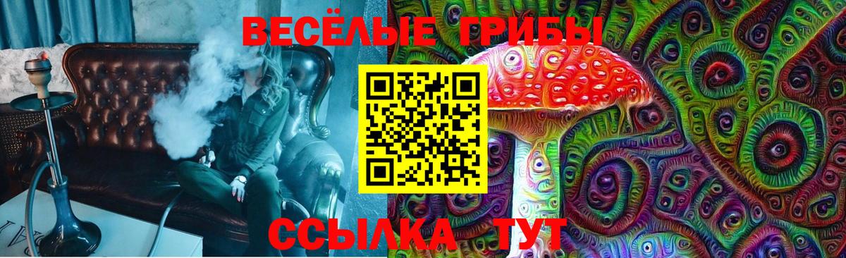 Псилоцибиновые грибы Magic Shrooms Партизанск