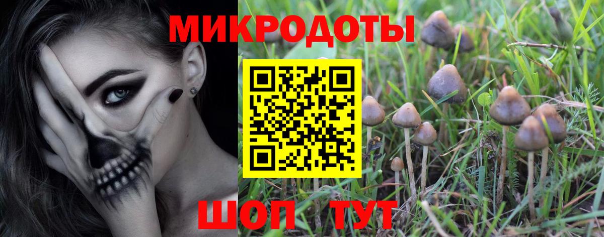 Псилоцибиновые грибы Magic Shrooms  Вход с VPN  Псилоцибиновые грибы мухоморы  Партизанск 